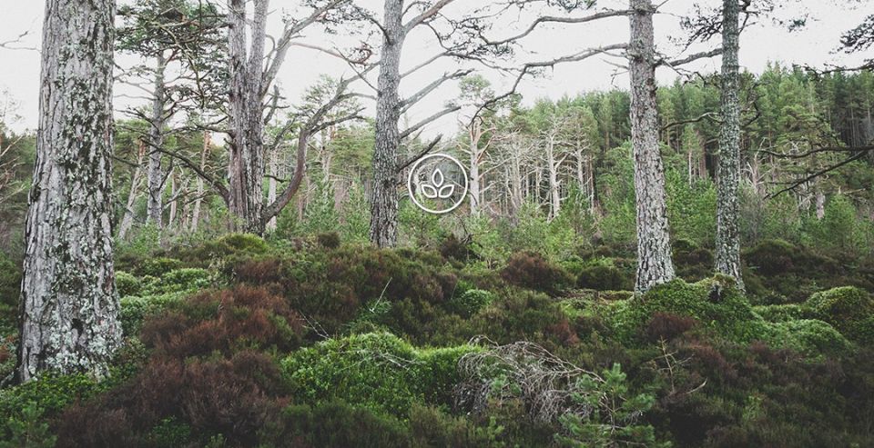 BeWooden - Eco-friendly production