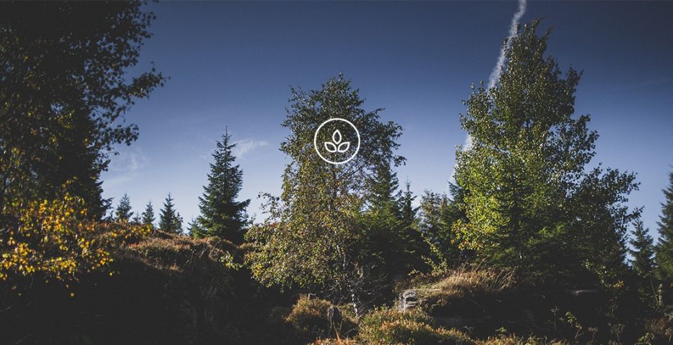 BeWooden - Products made with love to the nature