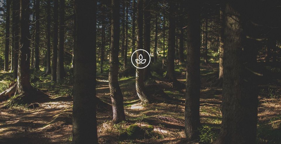 BeWooden - Eco-friendly production