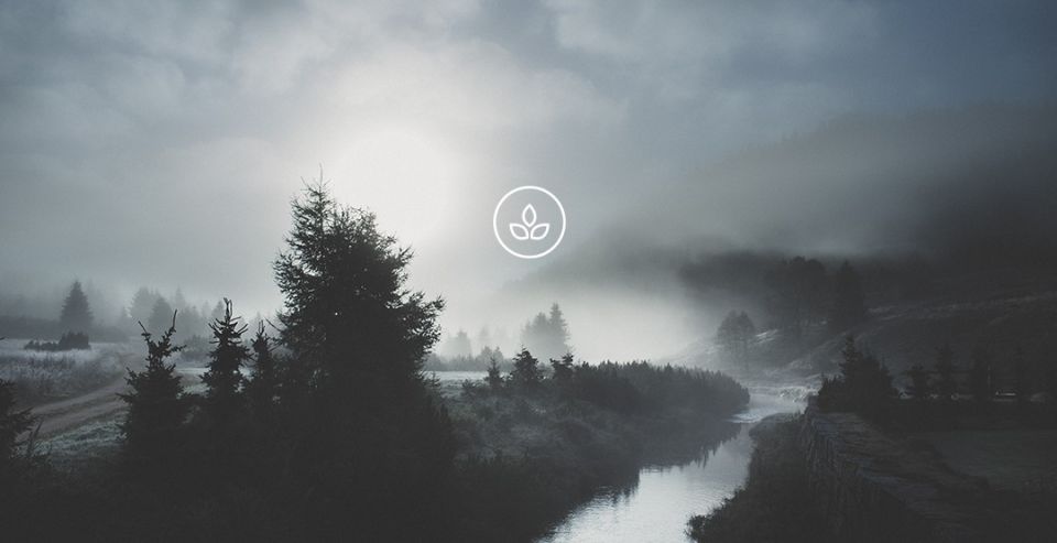 BeWooden - Handmade with love to the nature