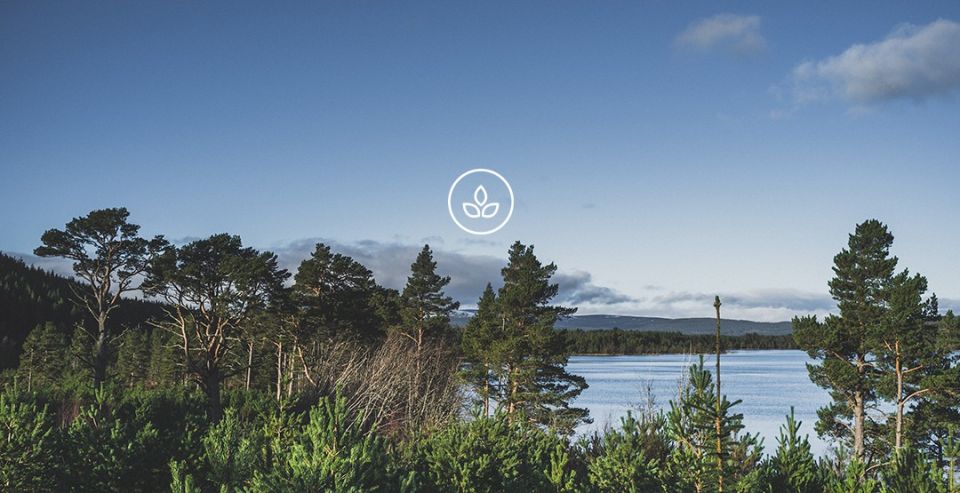 BeWooden - Eco-friendly production