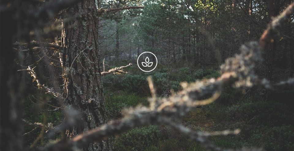 BeWooden - Wooden Accessories made with love