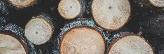 How much do you know about wood?