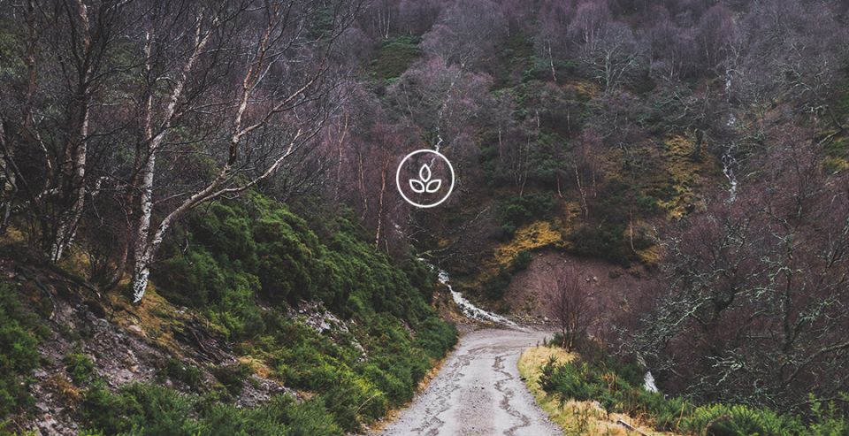 BeWooden -