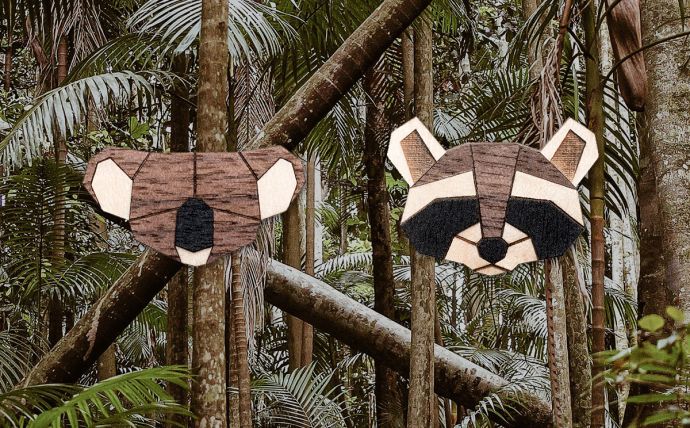 The koala and racoon brooches in the tropics