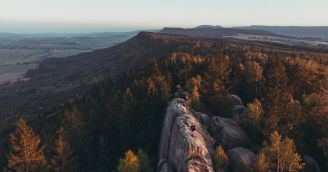 Why are forests a real treasure?