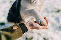 Wooden brooch Paw Brooch