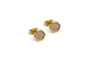 Metal earrings Apis Earrings Hexagon