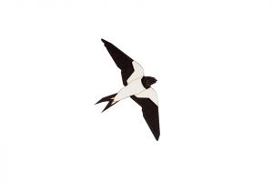 Wooden brooch Swallow Brooch