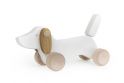 White Dachshund