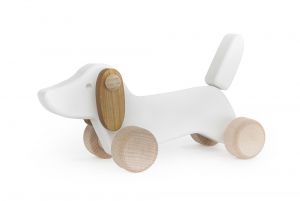 White Dachshund