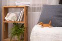 Natural Wooden Dachshund