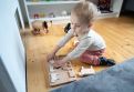 Sheep Sorting Puzzle