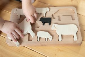 Sheep Sorting Puzzle