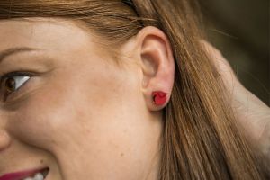 Wooden earrings Red Cutebird Earrings