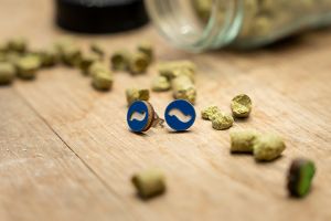 Proud Earrings
