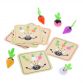 Garden Harvest Game