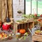 Garden Harvest Game