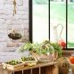 Garden Harvest Game