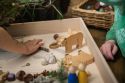 Forest Animals Set