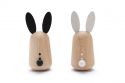 Pair of Wooden Rabbits