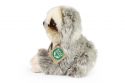 Sloth