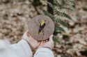 Wooden decoration Oriole Wooden Image