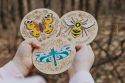 Wooden decoration Butterfly Wooden Image