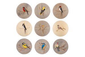 Wooden Image Bird Set 9