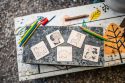 Foxy jigsaw puzzle 4in1 - Wilderness