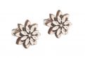Wooden Earrings Bellis Earrings