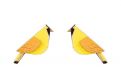Wooden earrings Sunny Cutebird Earrings