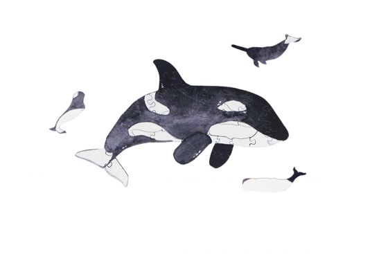 Mini Wooden Puzzle Orca – By Epipi