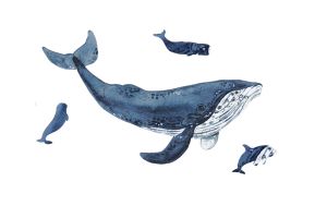 Mini Wooden Puzzle Whale – By Epipi