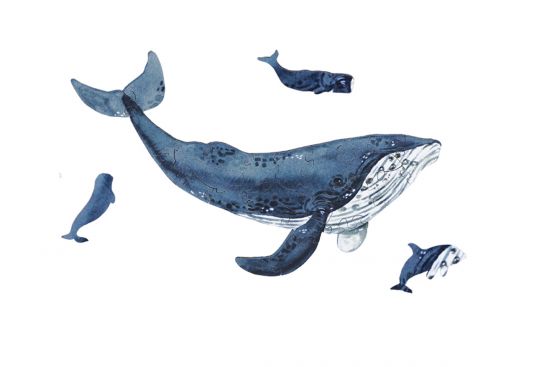 Mini Wooden Puzzle Whale – By Epipi