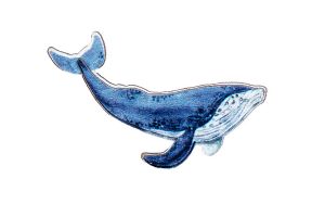 Wooden Brooch Whale – by Epipi
