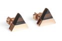 Metal earrings Rose Earrings Triangle