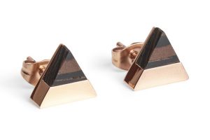 Metal earrings Rose Earrings Triangle