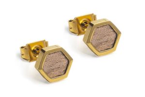 Metal earrings Apis Earrings Hexagon