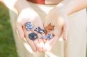Wooden brooch – Orca