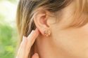 Wooden Earrings Turtle