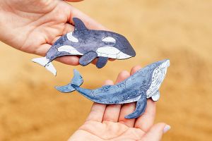 Mini Wooden Puzzle Whale – By Epipi
