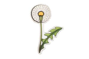 Dandelion Brooch
