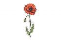 Poppy Brooch