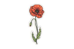 Poppy Brooch