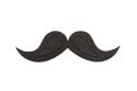 Wooden brooch Moustache Brooch