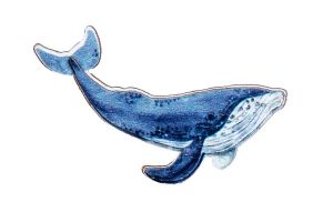 Wooden Brooch Whale – by Epipi