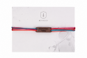 Tropical  Wooden Bracelet